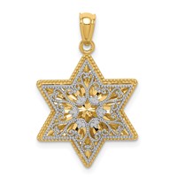 14K Two-Tone Polished Reversible Filigree Star of David Pendant view 1