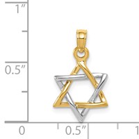14K Two-tone Polished Star of David Pendant view 3