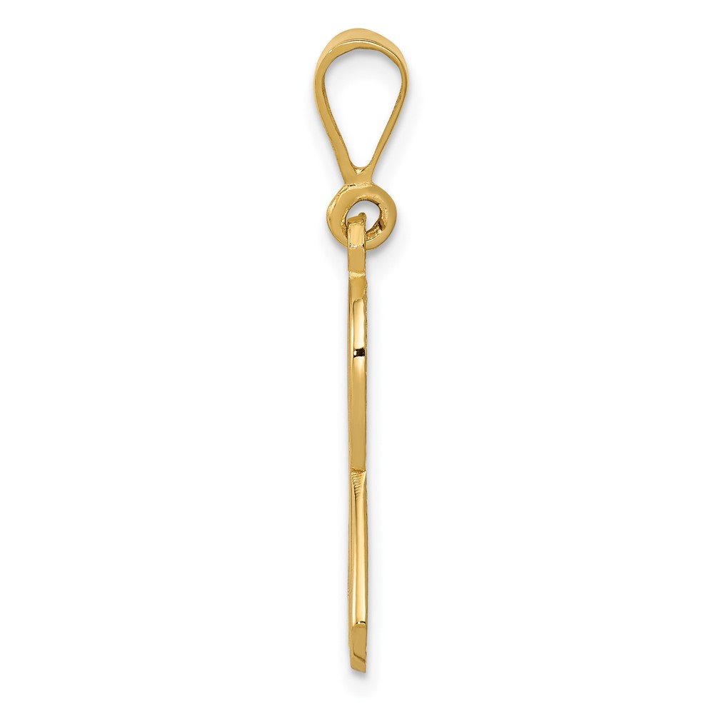 14k Awareness Pendant (K580)