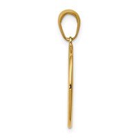 14K Yellow Gold Polished and Satin Solid Saint Anthony Small Round Medal Pendant view 2