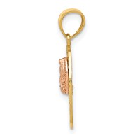 14K Two-tone Pendant with White Rhodium Diamond-cut Our Lady of Guadalupe with 15 view 2