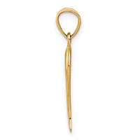14K Yellow Gold Italian Horn Pendant view 2