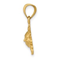 14K Yellow Gold Satin Diamond-cut Sun Pendant view 2
