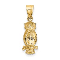 14K Yellow Gold Satin Diamond-cut Owl Pendant view 3