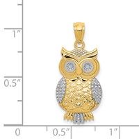 14K and White Rhodium Polished and Textured Owl Pendant view 4