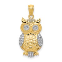 14K and White Rhodium Polished and Textured Owl Pendant view 1