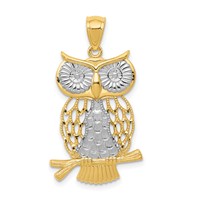 14K and White Rhodium Diamond-cut Polished Moveable Owl Pendant view 1