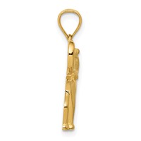 14K Yellow Gold Polished and Satin Elephant Pendant view 2