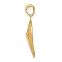 14K Yellow Gold Satin Diamond-cut Sand Dollar Pendant view 2