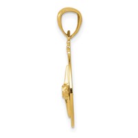 14K Yellow Gold Diamond-cut Polished Compass Pendant view 2
