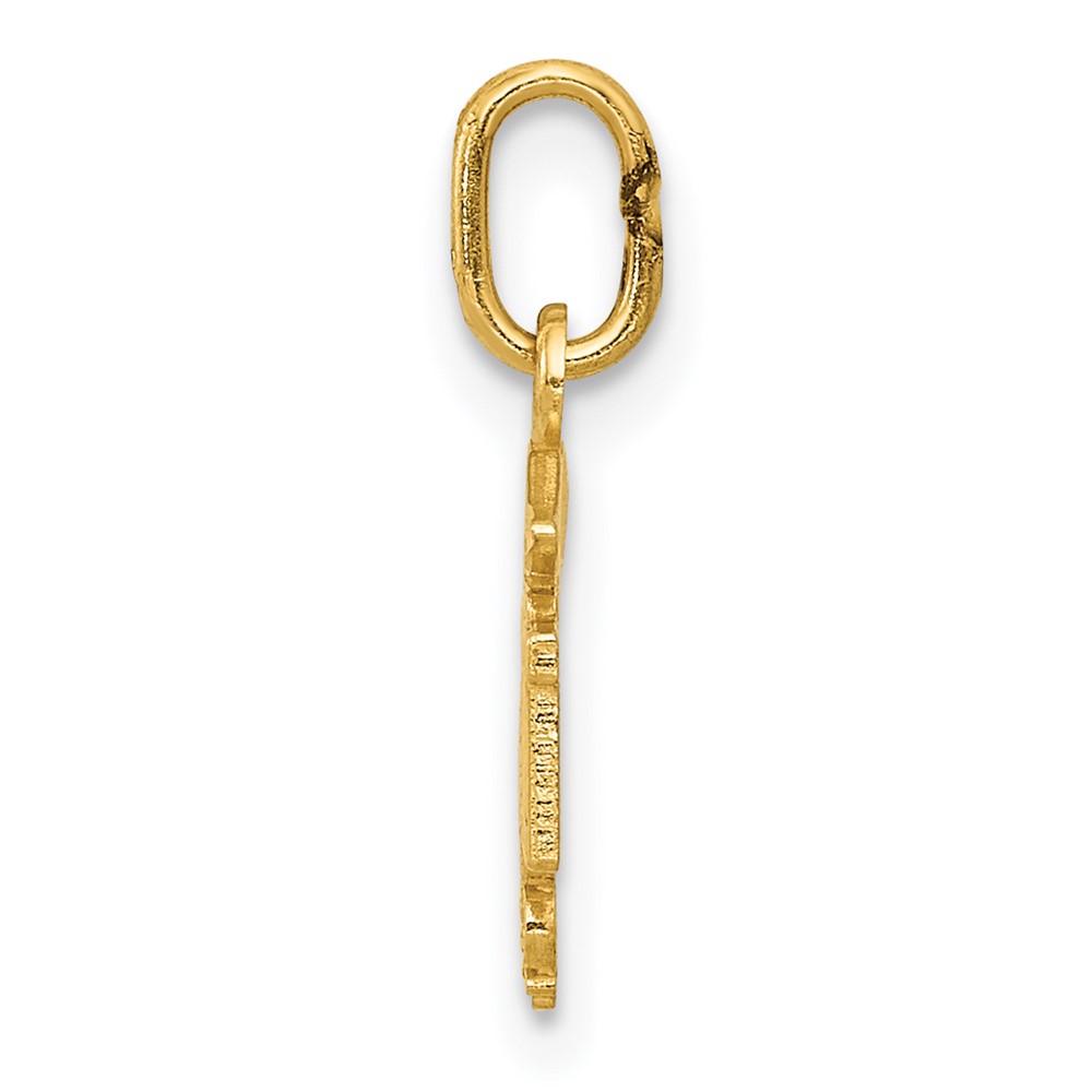 14k Diamond-cut Polished RN Nurse Pendant (K6117)
