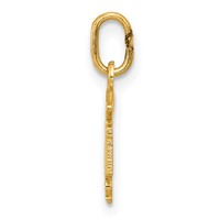 14K Yellow Gold Diamond-cut Polished RN Registered Nurse Pendant view 2