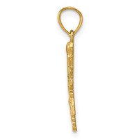 14K Yellow Gold Diamond-cut RN Registered Nurse Pendant view 2