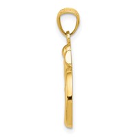 14K Yellow Gold Polished Om Symbol Pendant view 2
