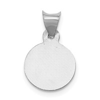 14K White Gold Polished Diamond-cut Semi-solid Our Lady of Guadalupe Round Pendant view 4