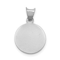 14K White Gold Polished Diamond-cut Semi-solid Our Lady of Guadalupe Round Pendant view 4