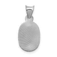 14K White Gold Polished Diamond-cut Semi-solid Our Lady of Guadalupe Oval Pendant view 4