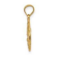 14K Yellow Gold Satin and Diamond-Cut Baptism Oval Pendant view 2
