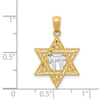 14K and White Rhodium Star of David Pendant with Chai view 4