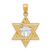 14K and White Rhodium Star of David Pendant with Chai view 1