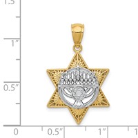 14K Two-Tone Fancy Star of David and Menorah Pendant view 4