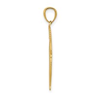 14K Yellow Gold Polished Feather Pendant view 2
