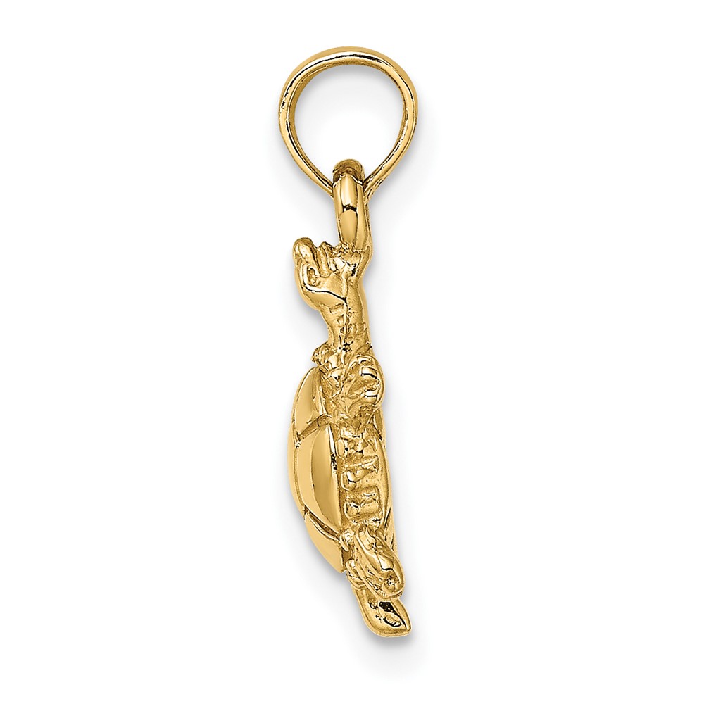14K 3-D Polished Land Turtle Charm (K6611)