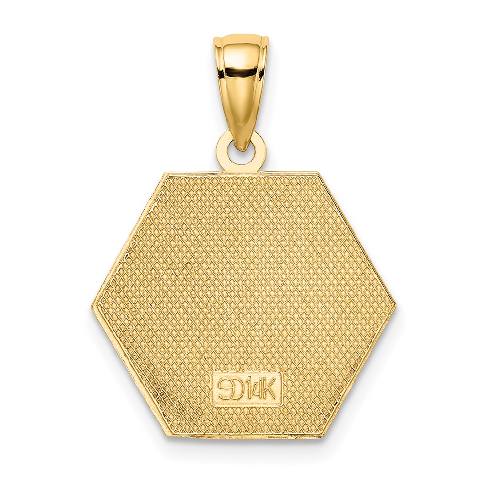 14K Enameled Textured Back Caduceus Medical Disc (K6732)