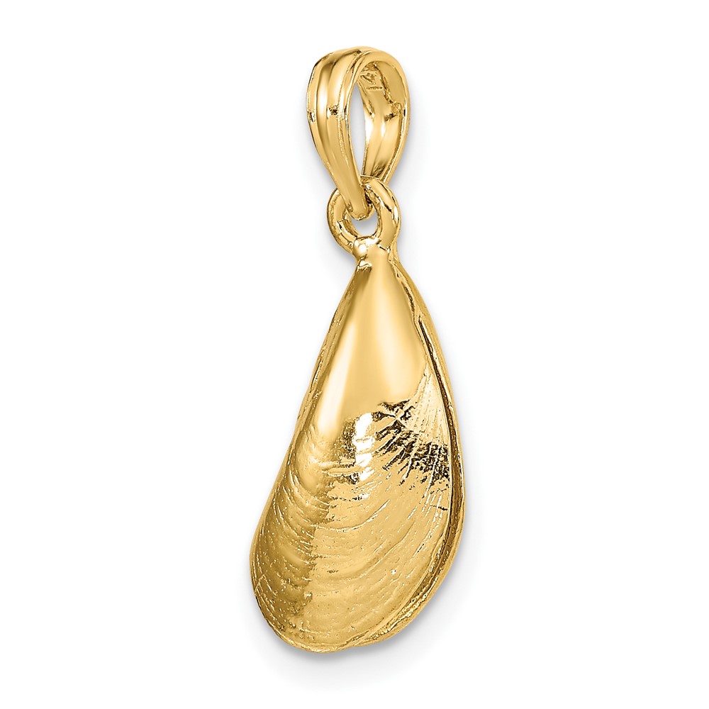 14K 3-D Polished Mussel Shell Charm (K7452)