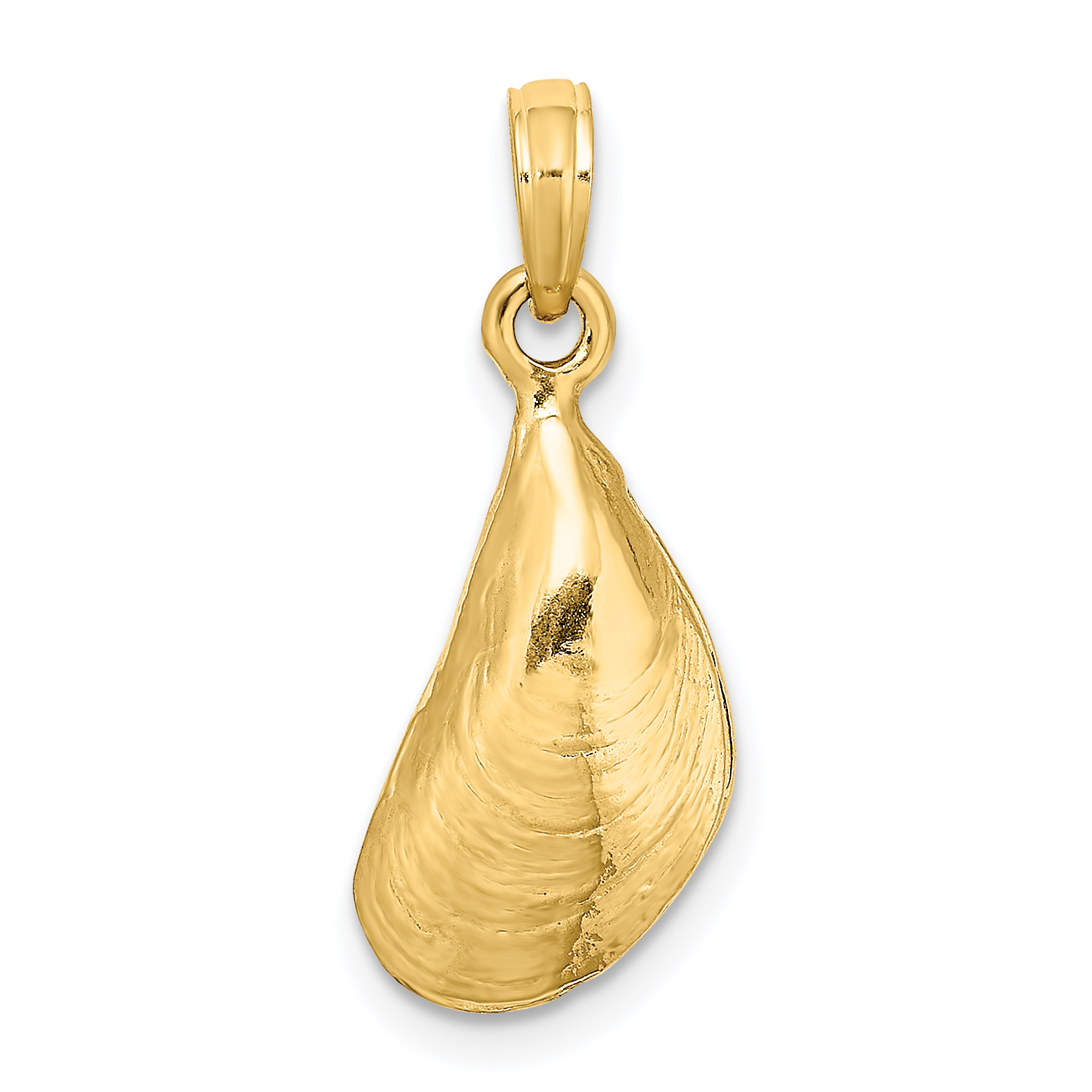 14K 3-D Polished Mussel Shell Charm (K7452)