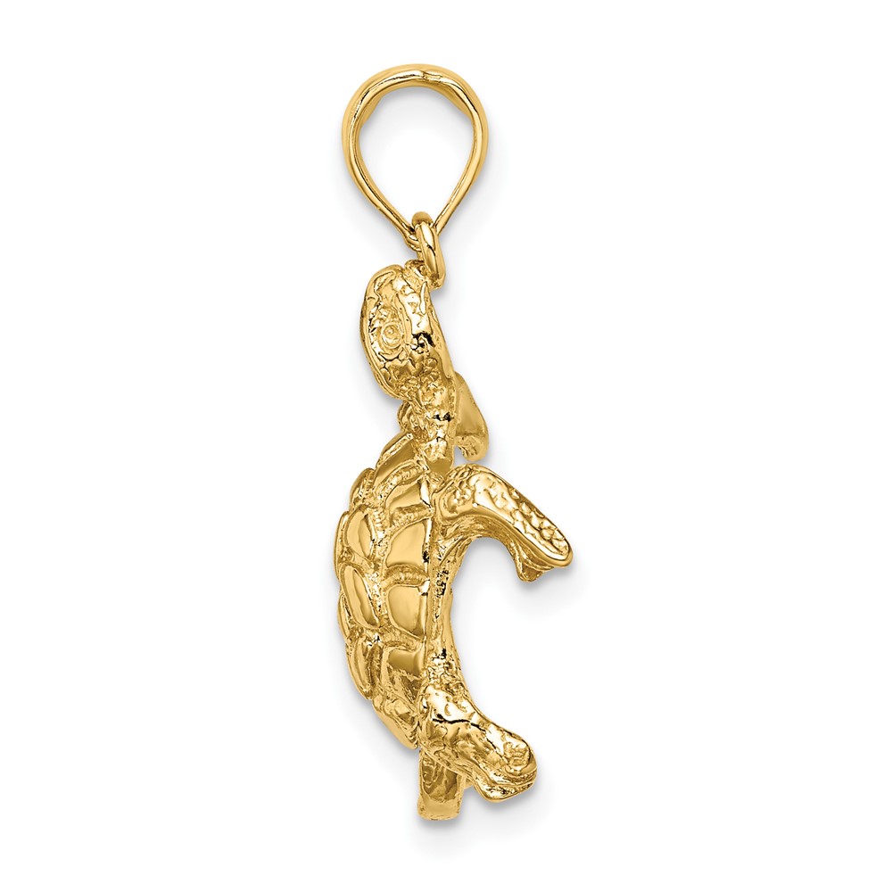 14K Polished and Textured Turtle Charm (K7744)