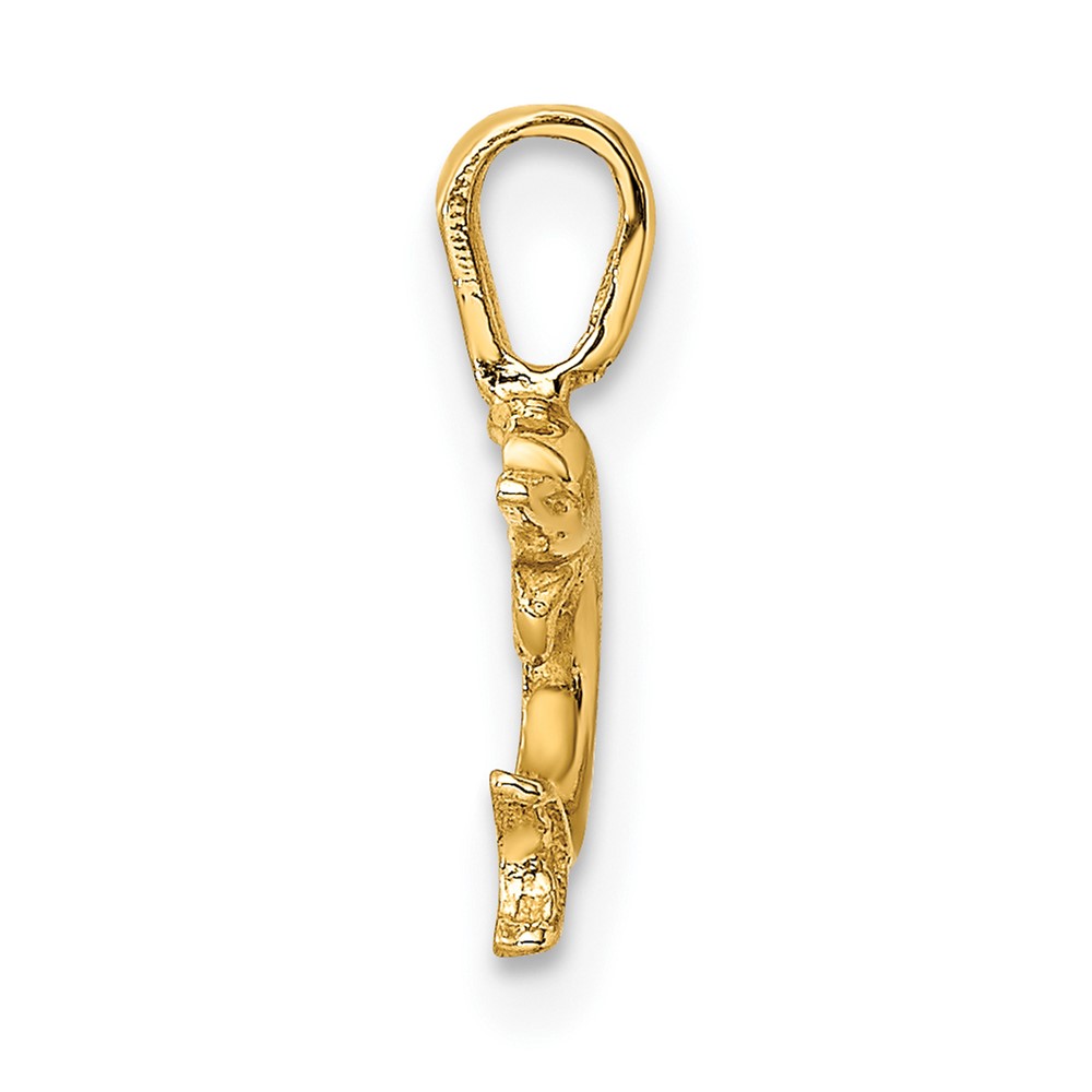 14K Mini Jumping Dolphin with Fixed Bail Charm (K7939)