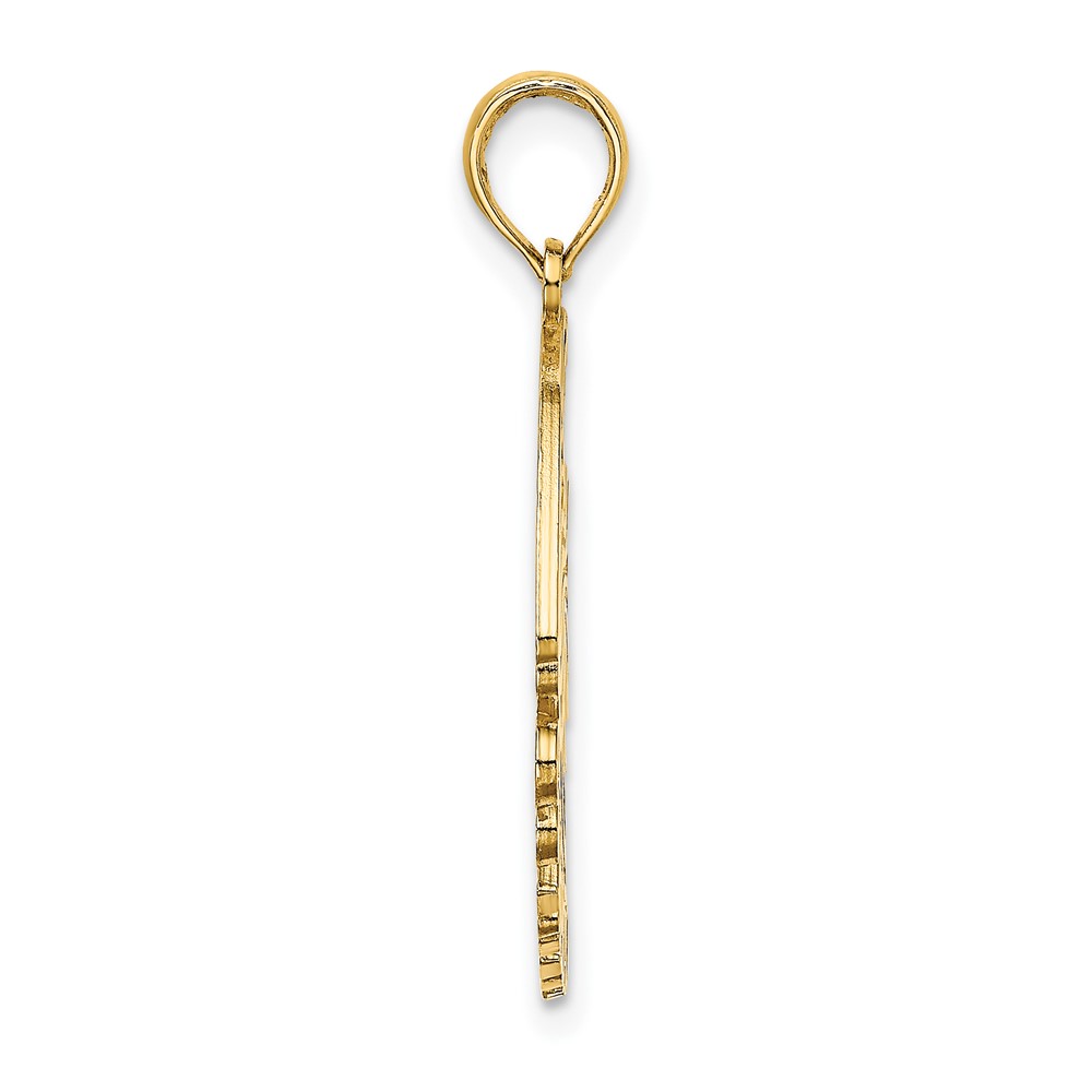 14K Polished CURACAO Under Angelfish Charm (K8186)
