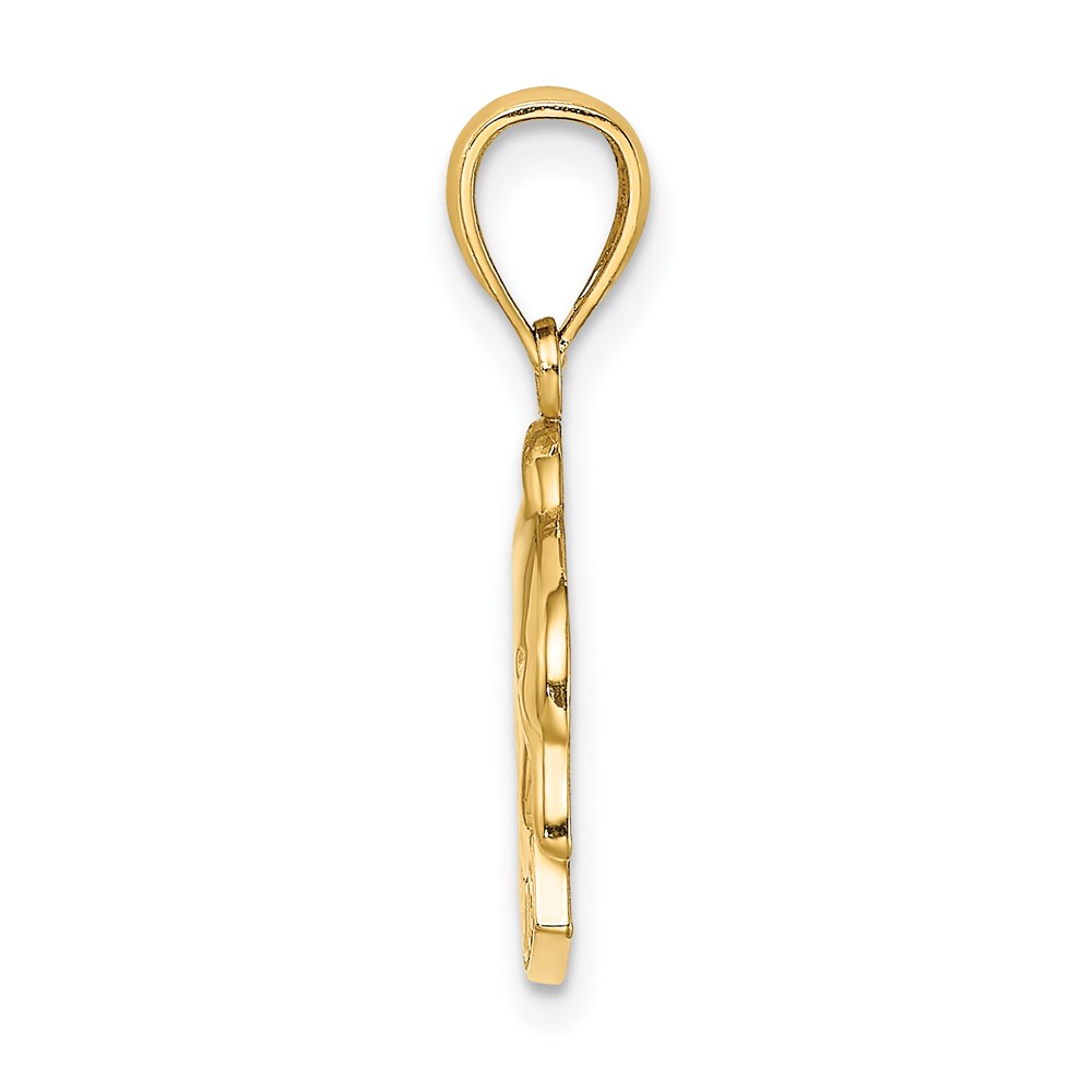 14K Polished BARBADOS Dolphin Charm (K8220)