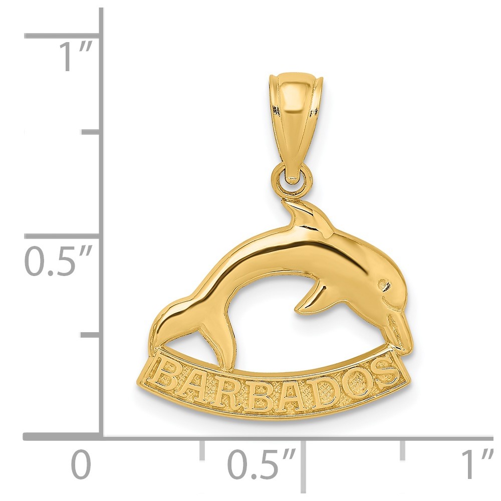 14K Polished BARBADOS Dolphin Charm (K8220)