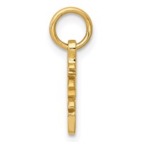 14K Yellow Gold Solid Polished Chinese Long Life Charm view 2
