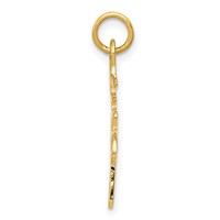 14K Yellow Gold Solid Polished Chinese Long Life Charm view 2