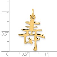 14K Yellow Gold Solid Polished Chinese Long Life Charm view 3