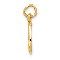 14K Yellow Gold Solid Polished Horseshoe Charm view 2