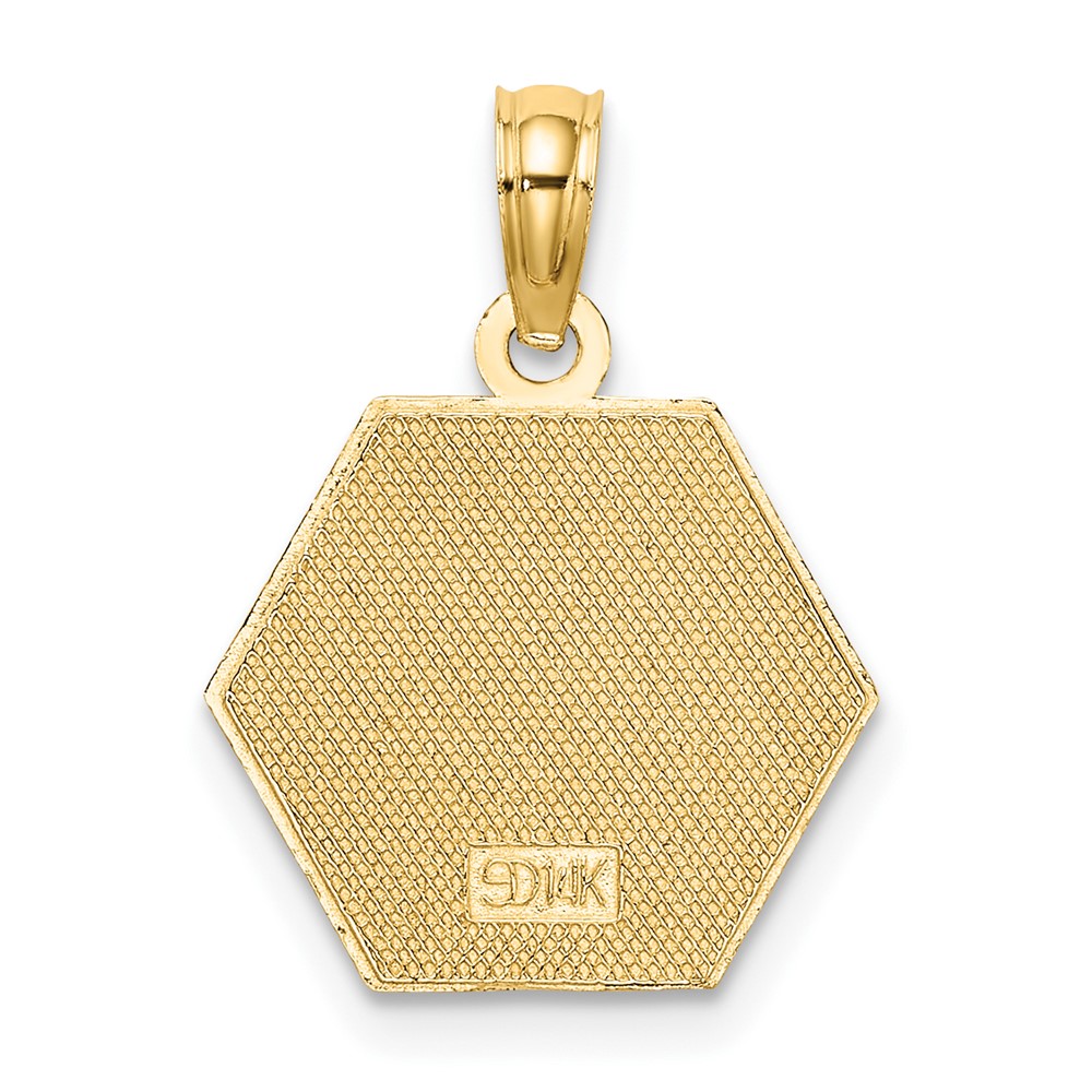 14K Caduceus Textured Back Medical Charm (K8314)