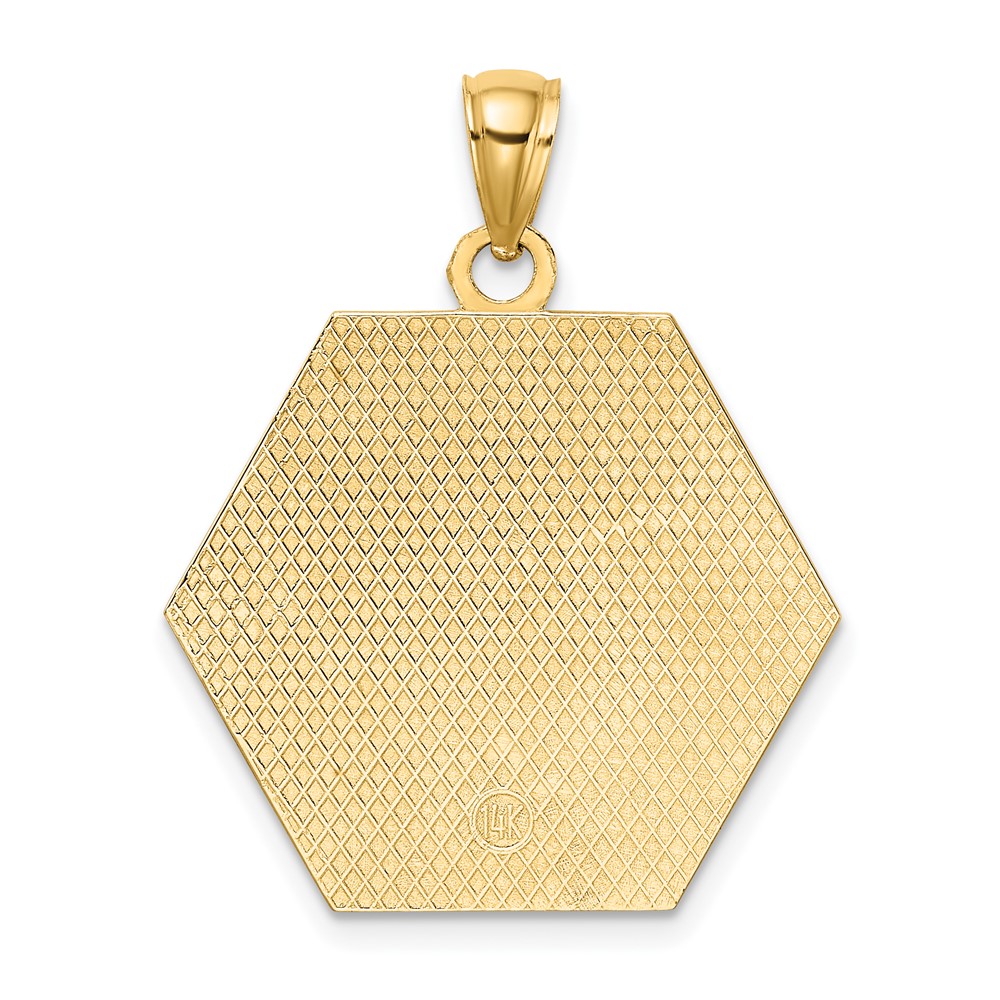 14K Textured Back Caduceus Medical Disc (K8315)