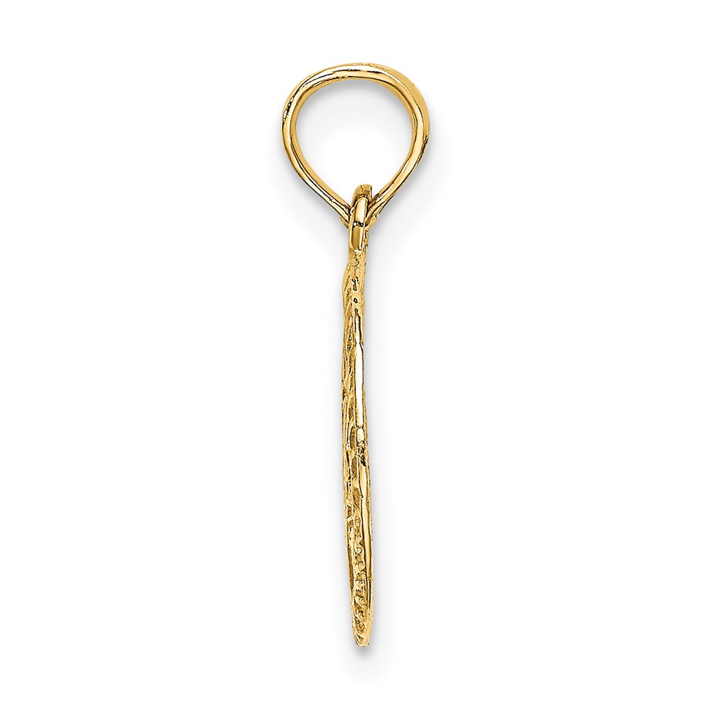 14K Engraved Star Of David In Circle Charm (K8388)
