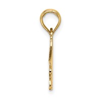 14K Yellow Gold I'd Rather BE Flying Charm view 2