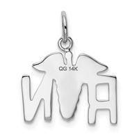 14K White Gold RN Registered Nurse Charm view 3