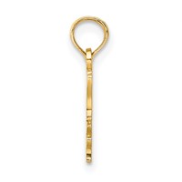 14K Yellow Gold I Love MY Chief Charm view 2