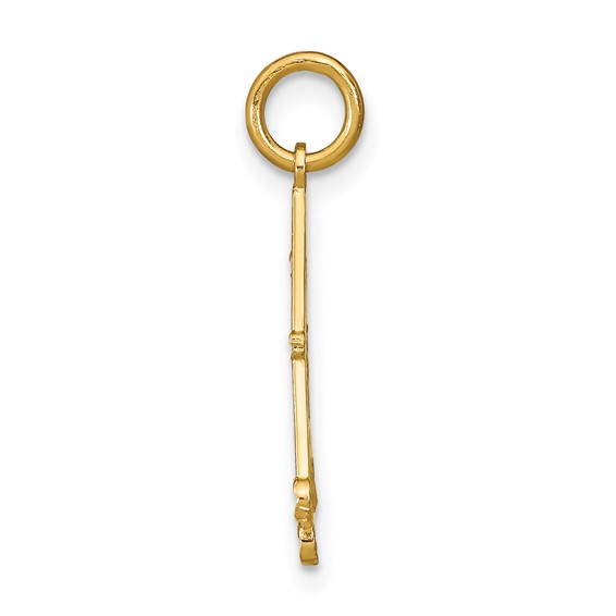 14K with White Rhodium Diamond-cut Chandelier Charm