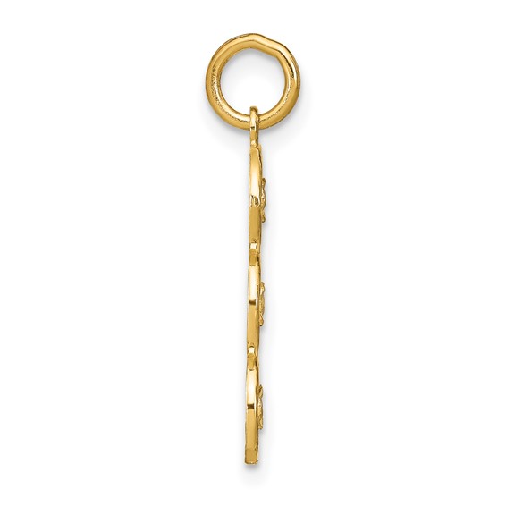 14k and White Rhodium Diamond-cut 3-Circle Charm