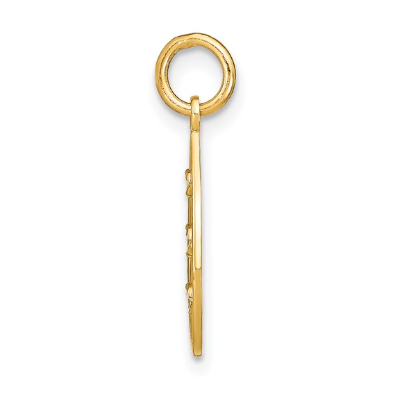 14K and White Rhodium Diamond-cut Small Teardrop Charm