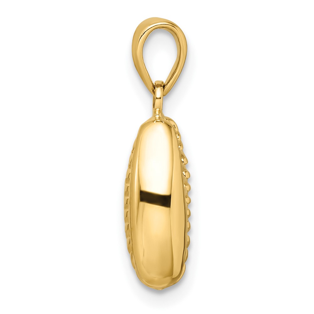 14k Polished 3D Crowrie Shell Pendant (K9947)