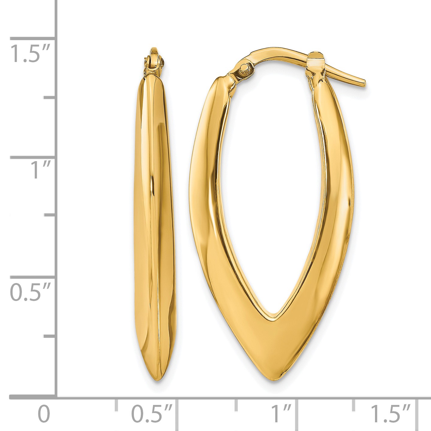 Oval Polished Hoop Earrings